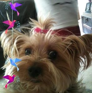 Meet your Posher, Margaret